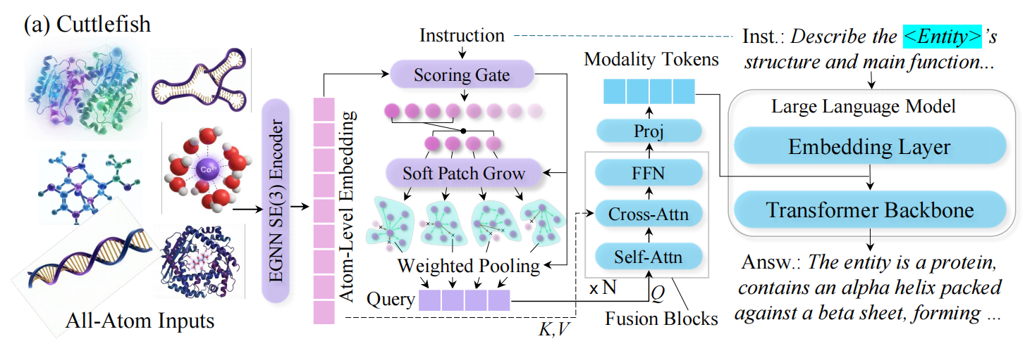 Cuttlefish (ICML 2026)