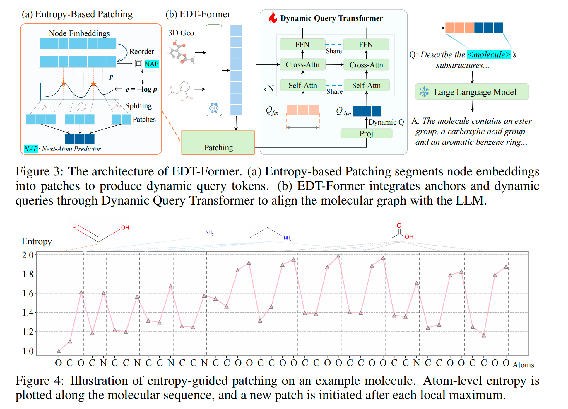 EDT-Former (ICLR 2026)