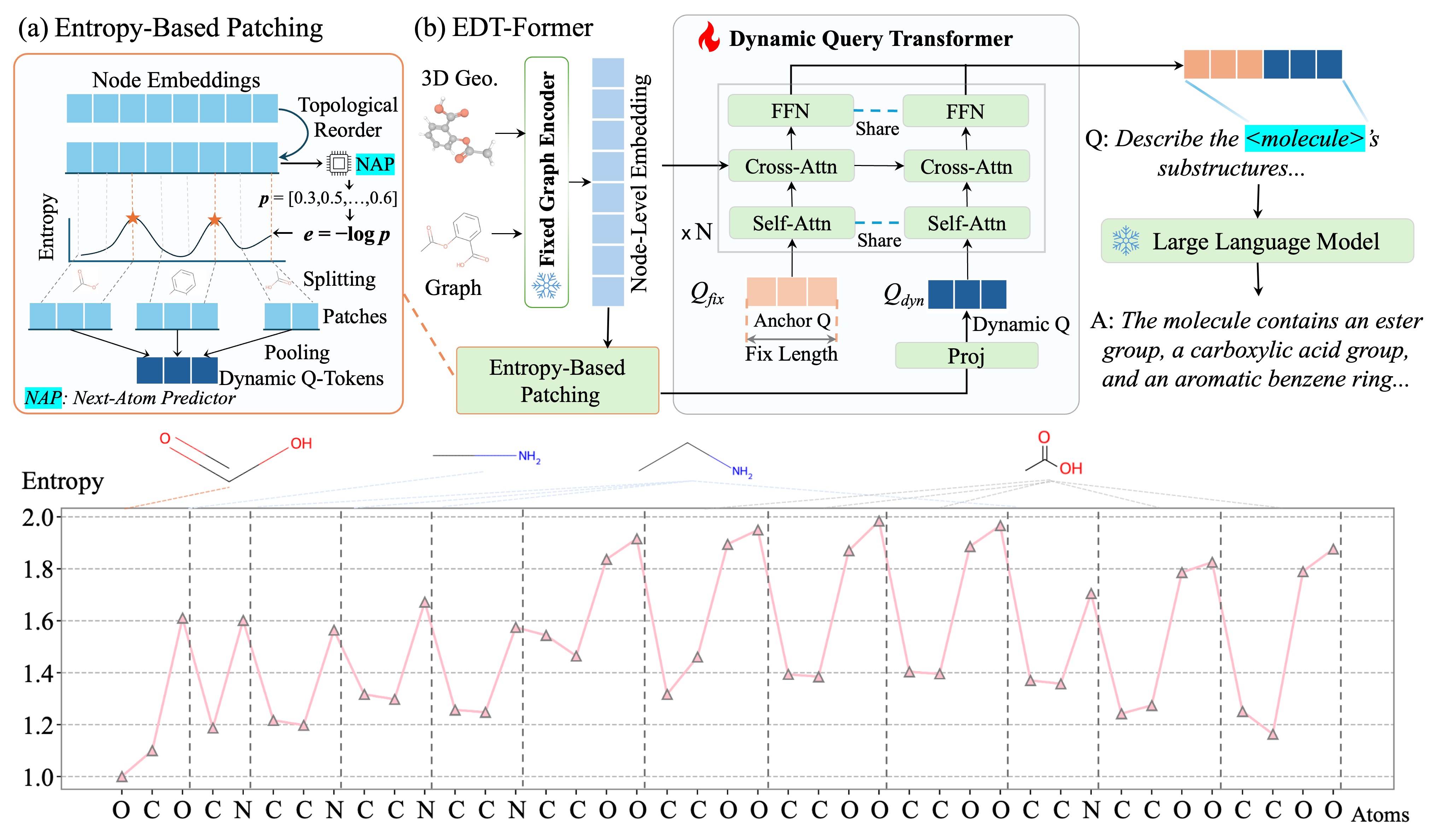 Entropy-Guided Dynamic Tokens for Graph-LLM Alignment in Molecular Understanding